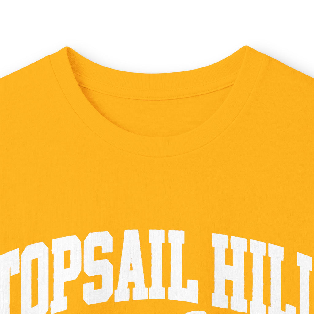 Topsail Hill Preserve State Park Vintage Logo- Long Sleeve Tee