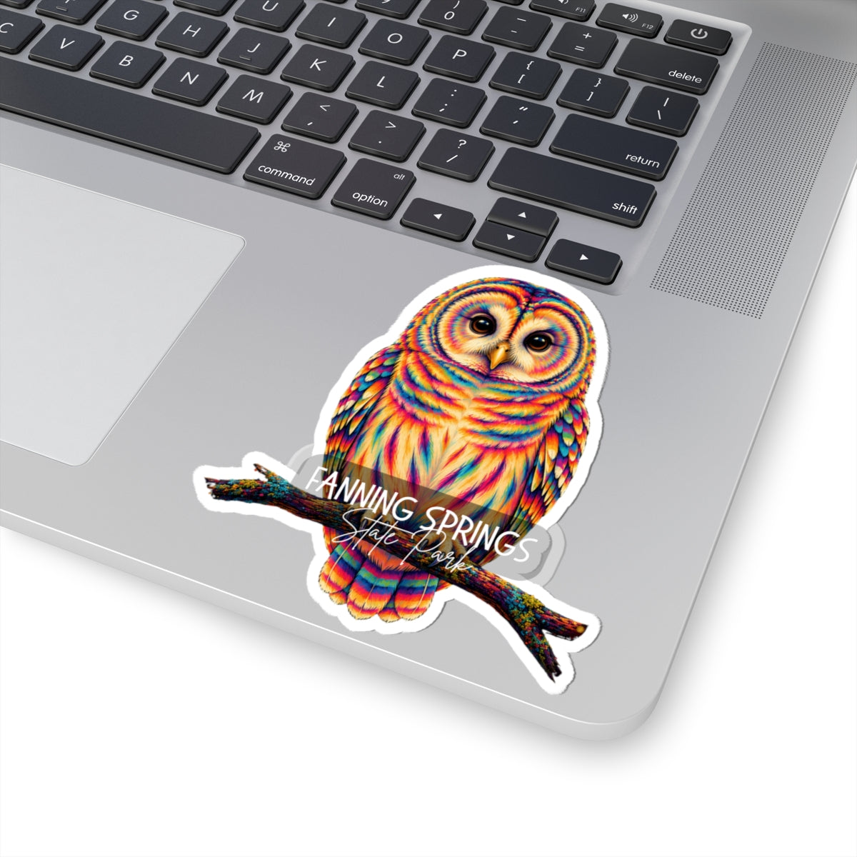 Rainbow Barred Owl Kiss-Cut Sticker