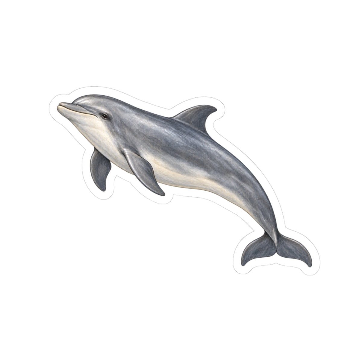 Dolphin Kiss-Cut Sticker — Realistic Decal
