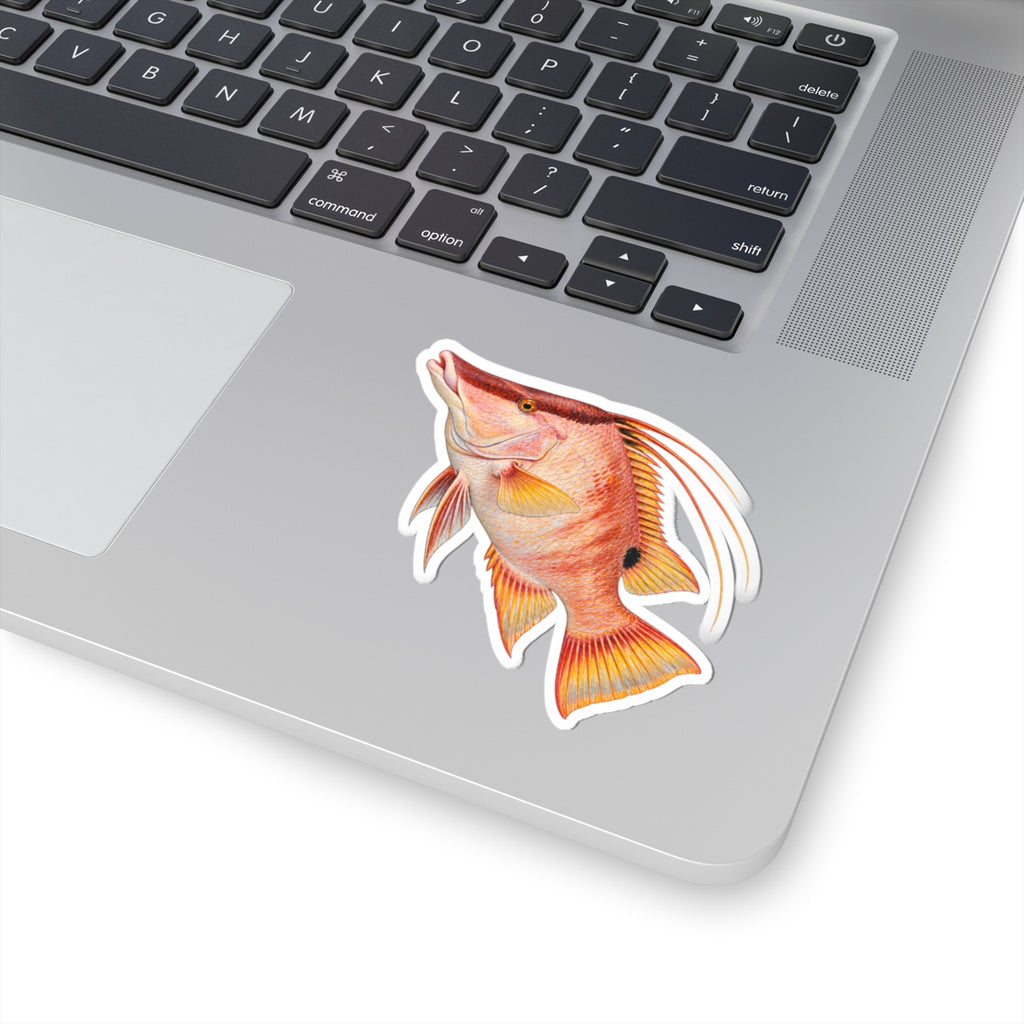 Red Hog Fish Sticker — Tropical Reef Decal