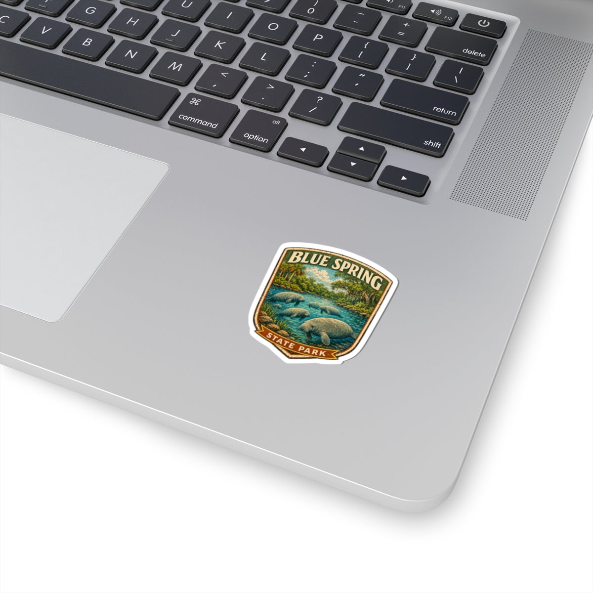 Blue Spring State Park Manatee Sticker — Vintage National Park Decal