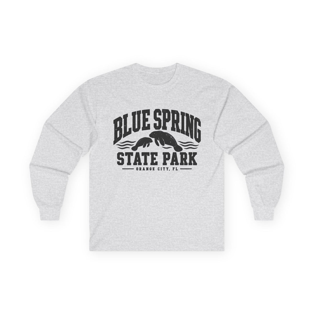 Blue Spring State Park Manatee Design- Destination Logo