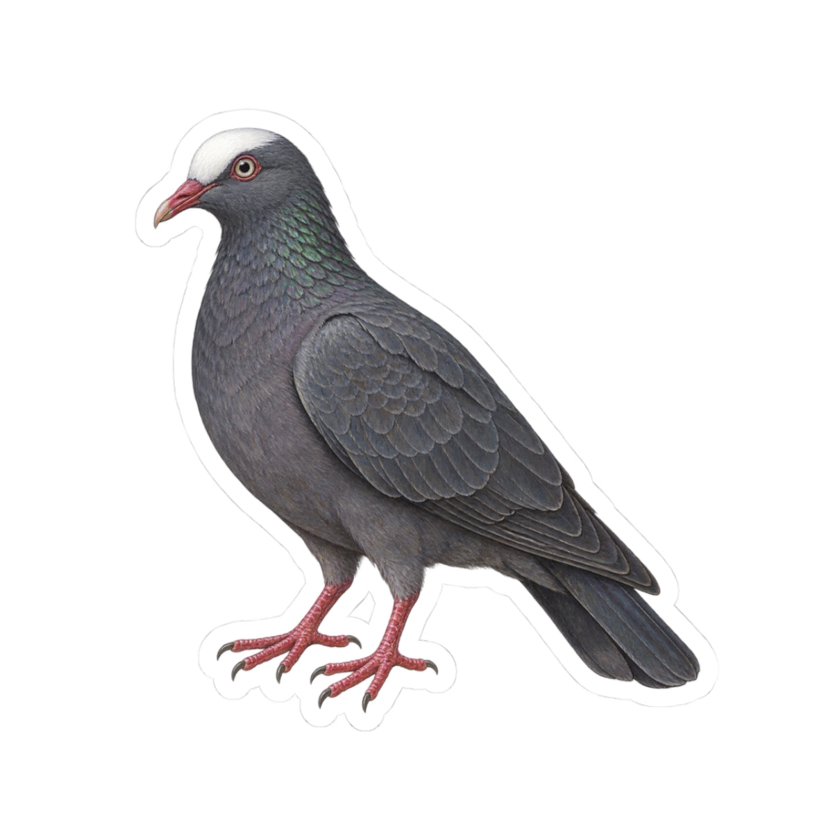 White Crowned Pigeon Kiss-Cut Sticker — Realistic Decal