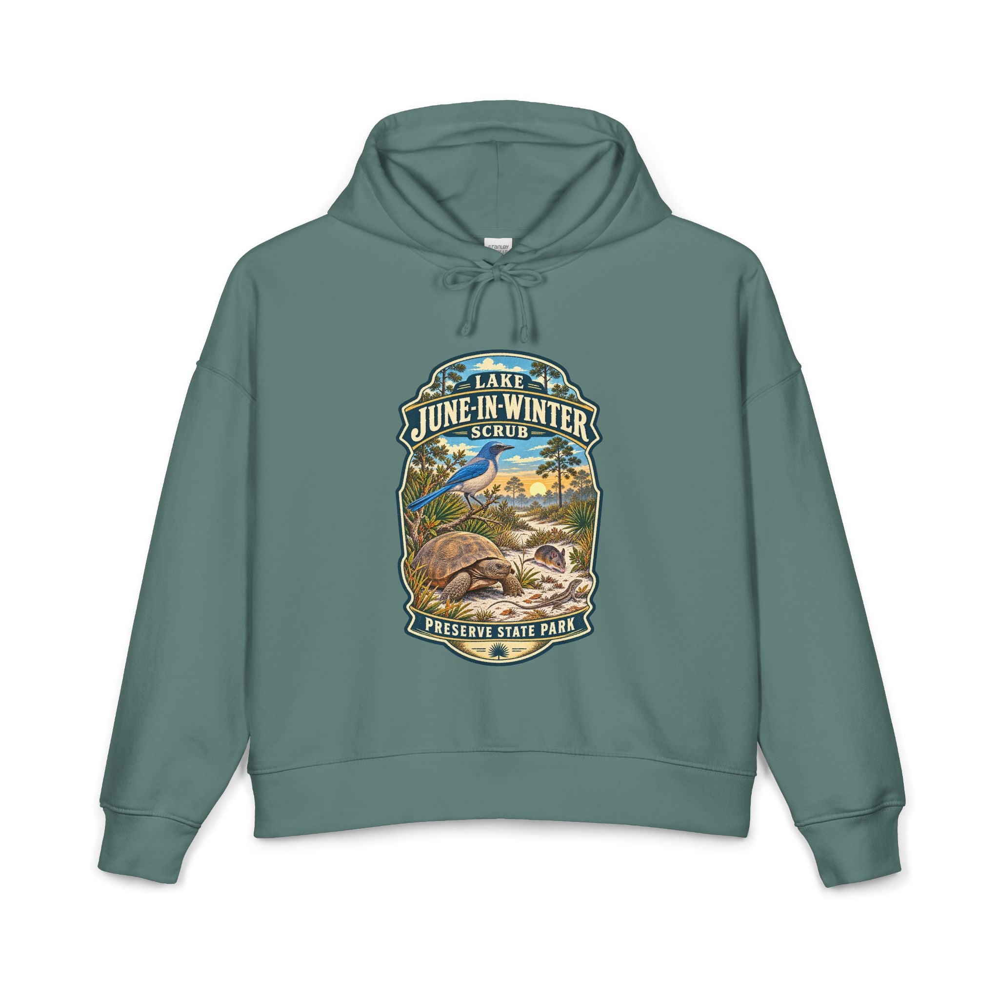 Lake June-in-Winter— Vintage Hoodie