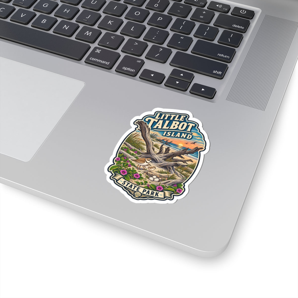 Little Talbot Island State Park Sticker — Coastal Beach Vintage Travel Decal