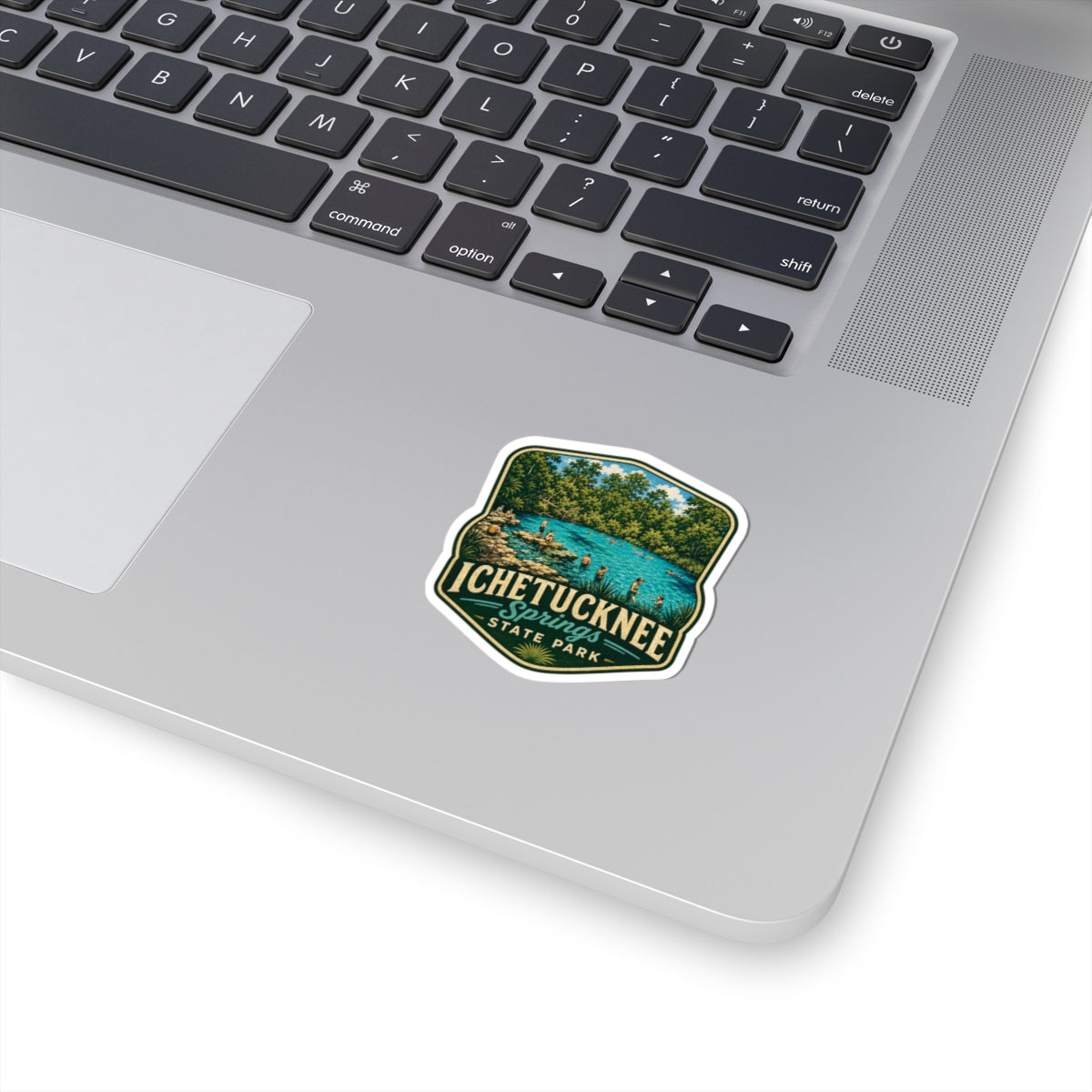 Ichetucknee Springs State Park Sticker — Vintage Swimming Hole Travel Decal