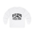 Blue Spring State Park Manatee Design- Destination Logo