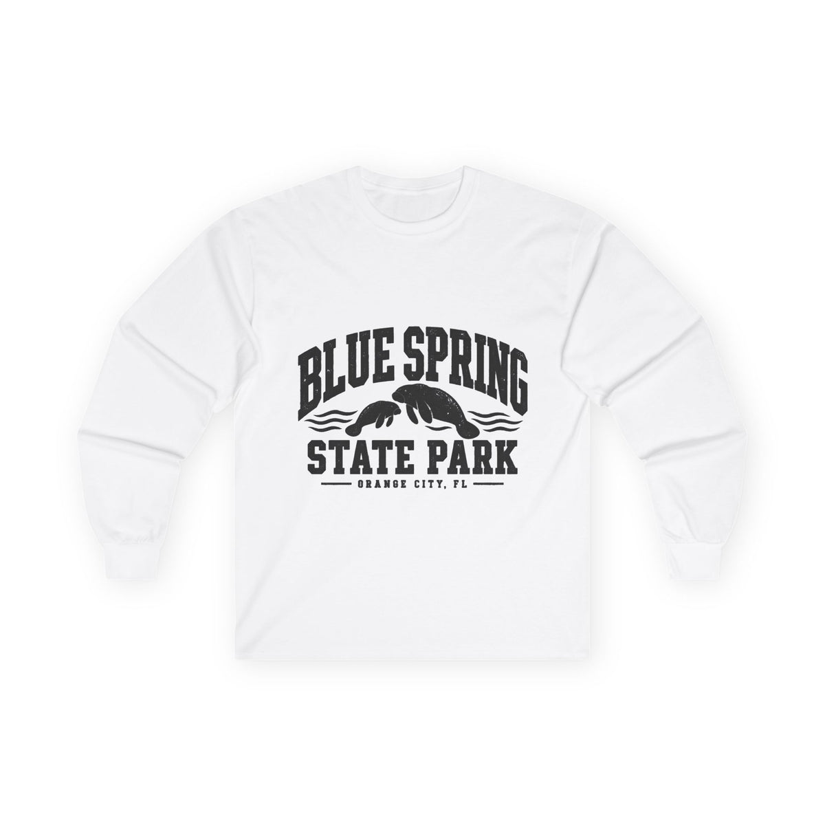 Blue Spring State Park Manatee Design- Destination Logo