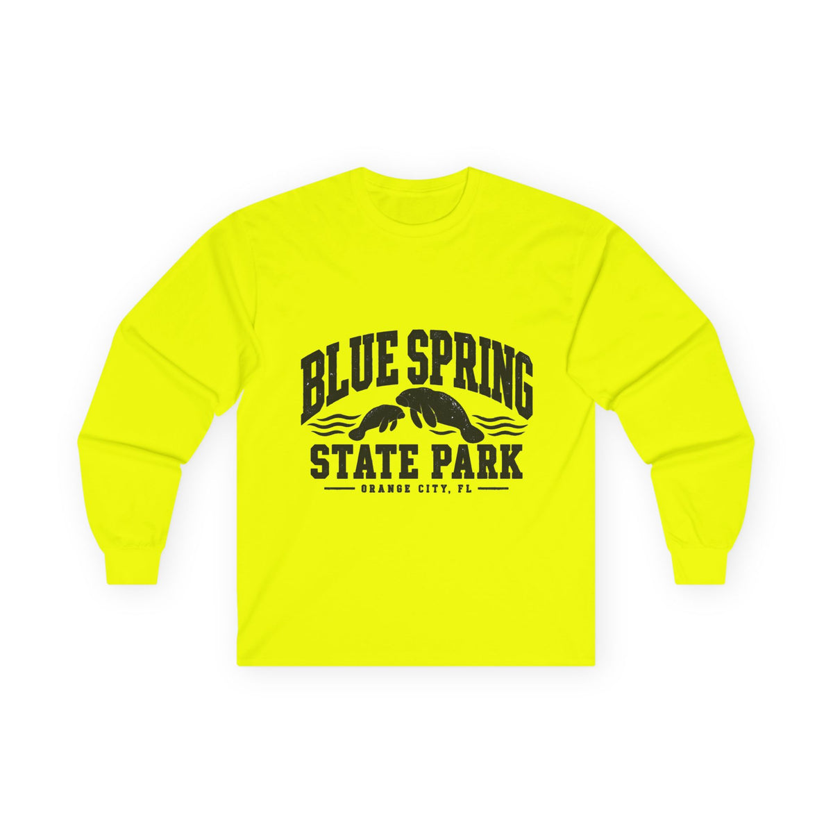 Blue Spring State Park Manatee Design- Destination Logo