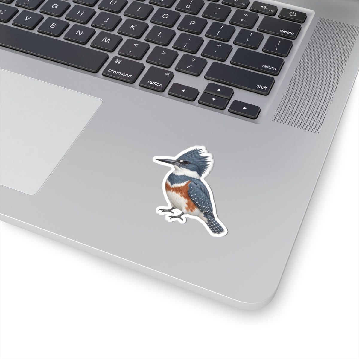 Belted Kingfisher Bird Sticker — Realistic Watercolor Kingfisher Kiss-Cut Vinyl Sticker