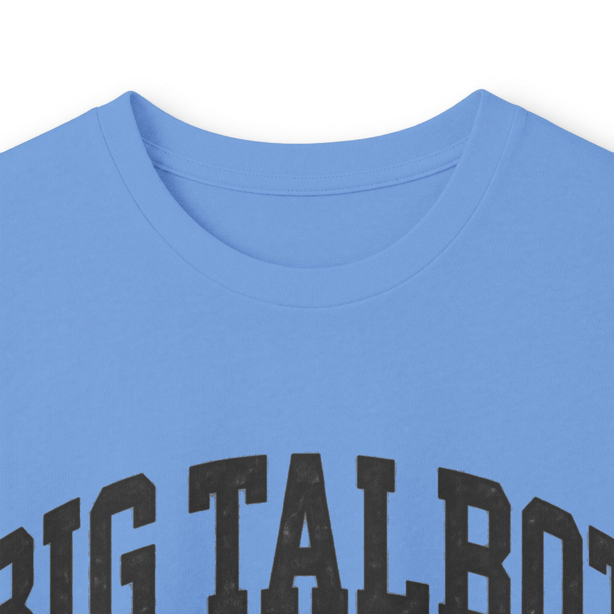 Big Talbot Island State Park - Destination Logo