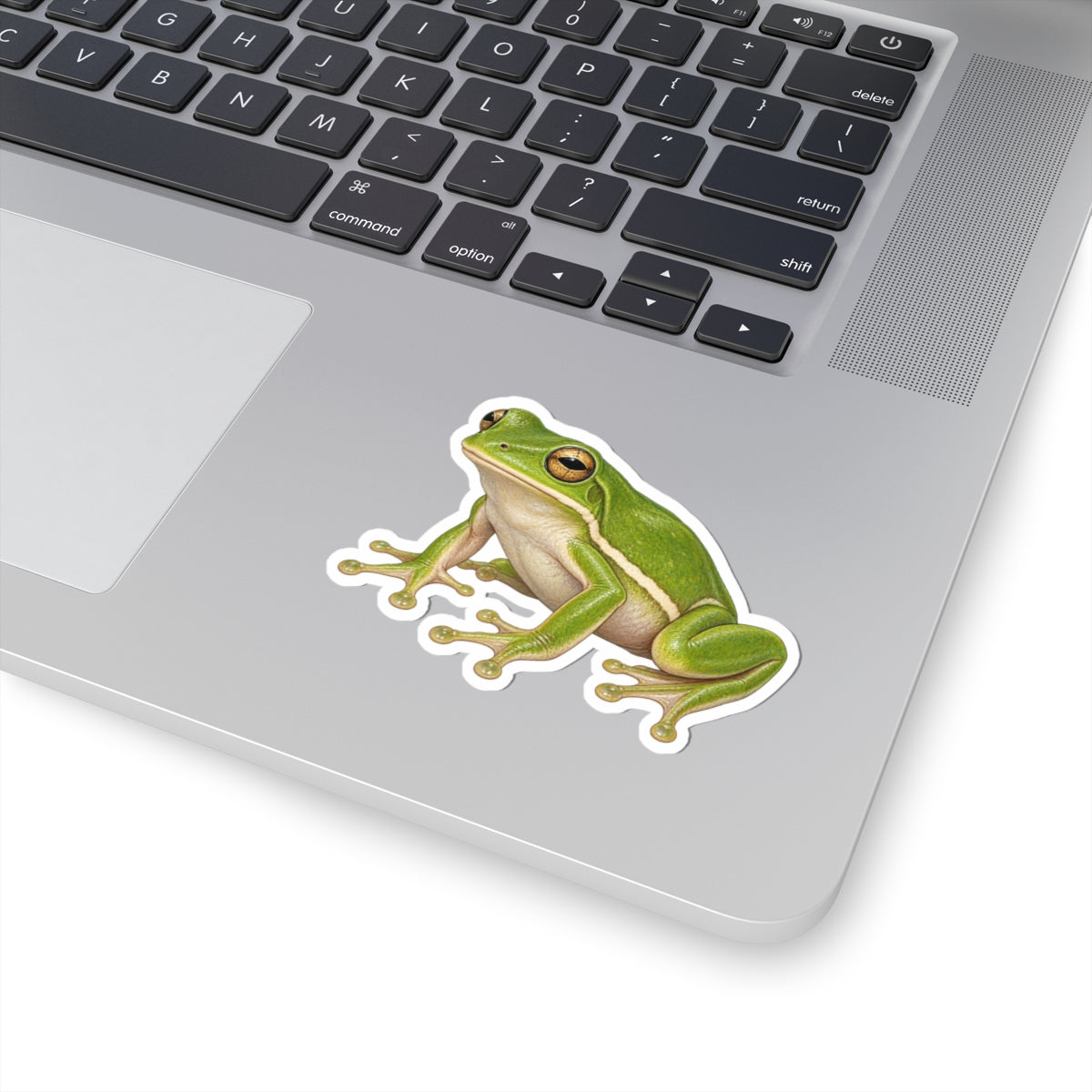 Green Tree Frog Kiss-Cut Sticker — Realistic Frog Vinyl Decal