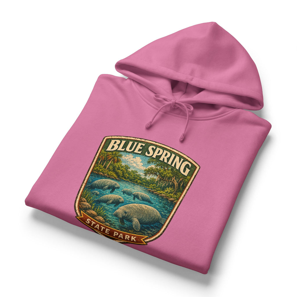 Blue Spring — Vintage Hoodie