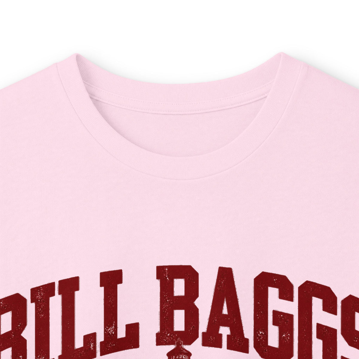 Bill Bags Cape Florida State Park- Destination Logo