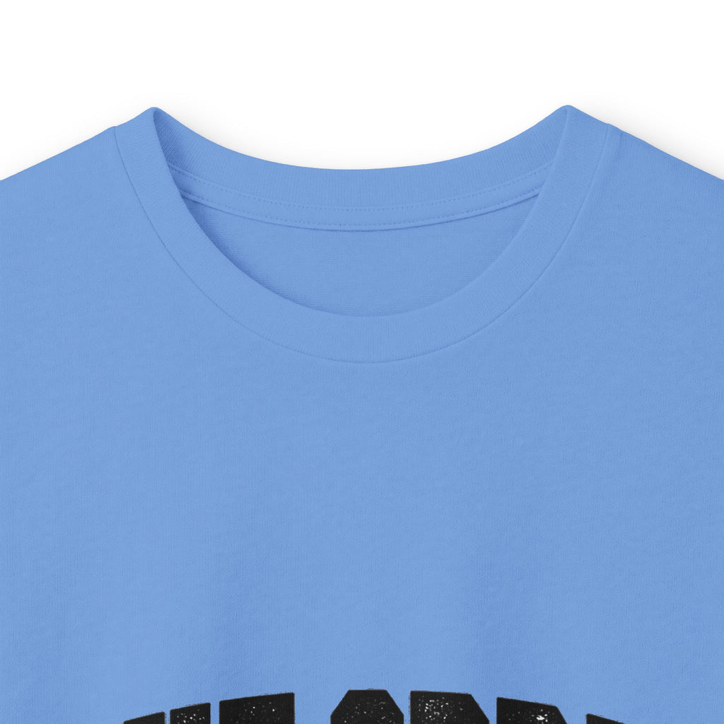Blue Spring State Park Manatee Design- Destination Logo
