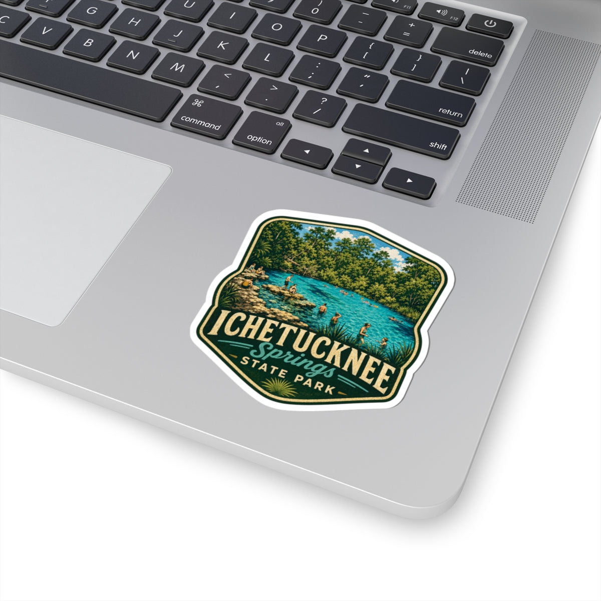 Ichetucknee Springs State Park Sticker — Vintage Swimming Hole Travel Decal