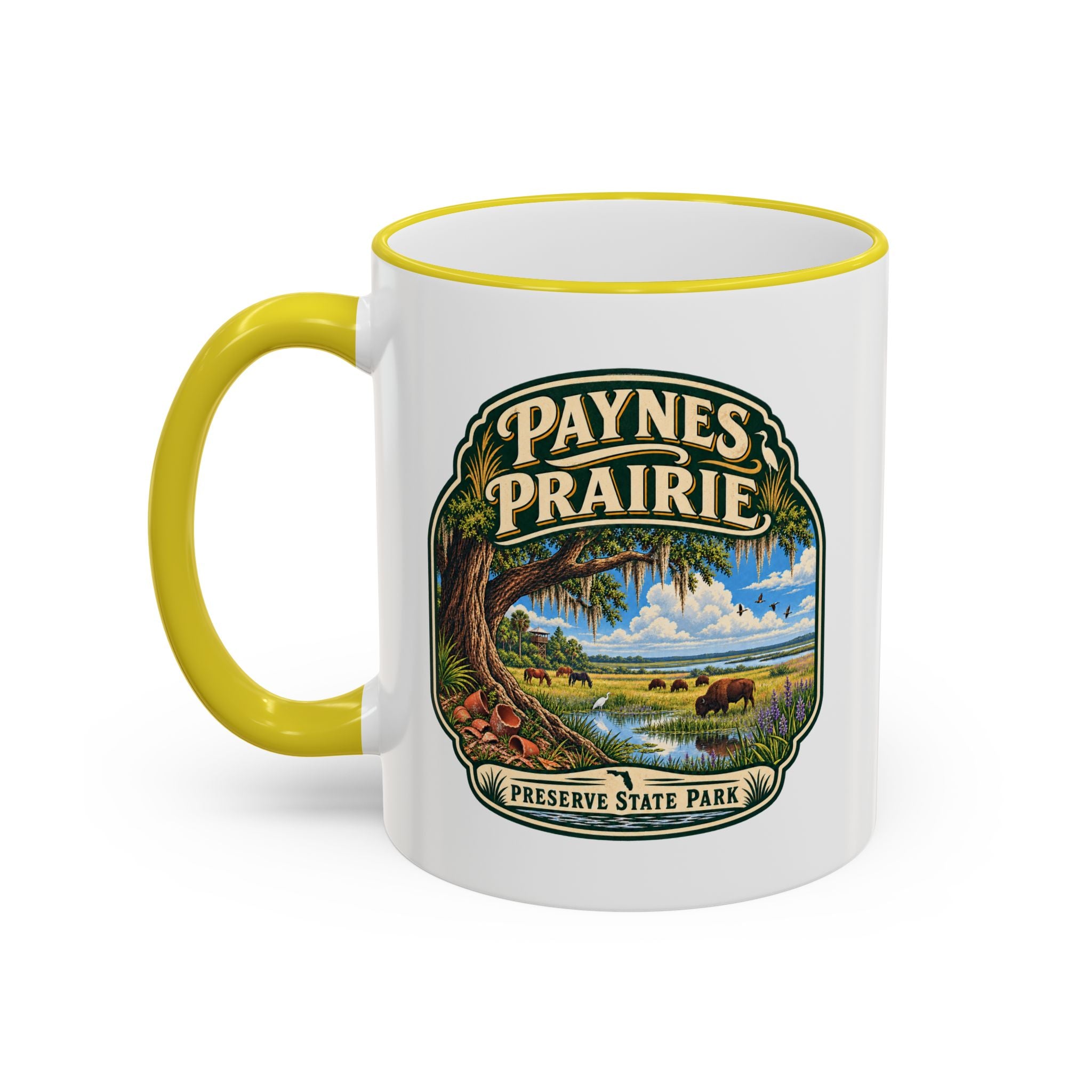 Paynes Prairie Accent Rim & Handle 11oz/15oz