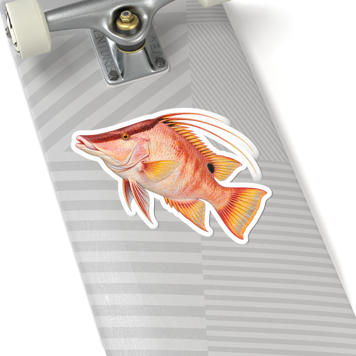 Red Hog Fish Sticker — Tropical Reef Decal