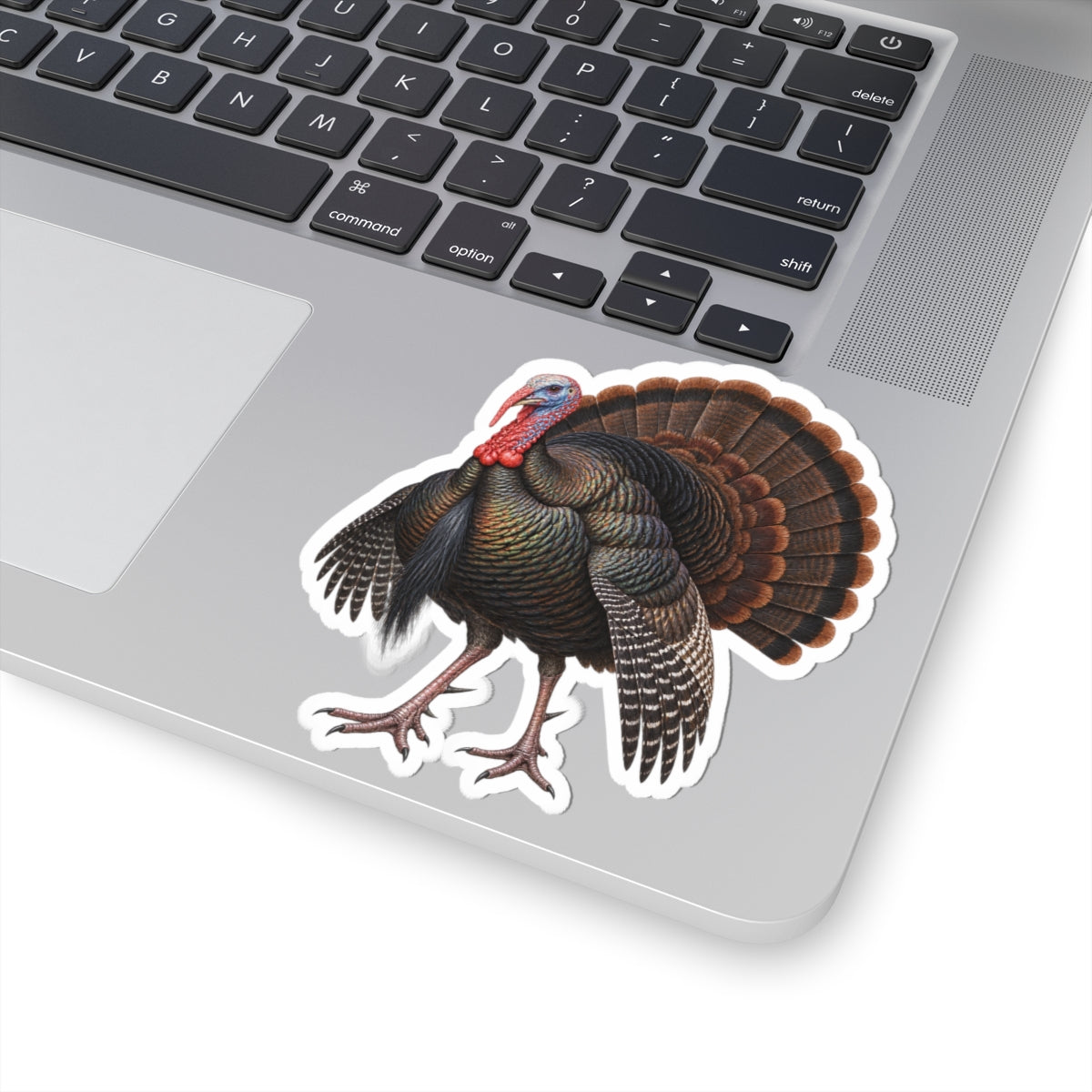 Wild Osceola Turkey Sticker — Realistic Decal