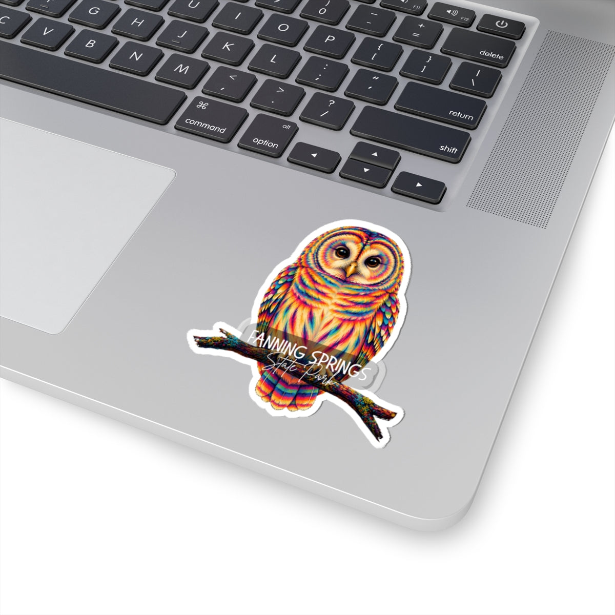 Rainbow Barred Owl Kiss-Cut Sticker