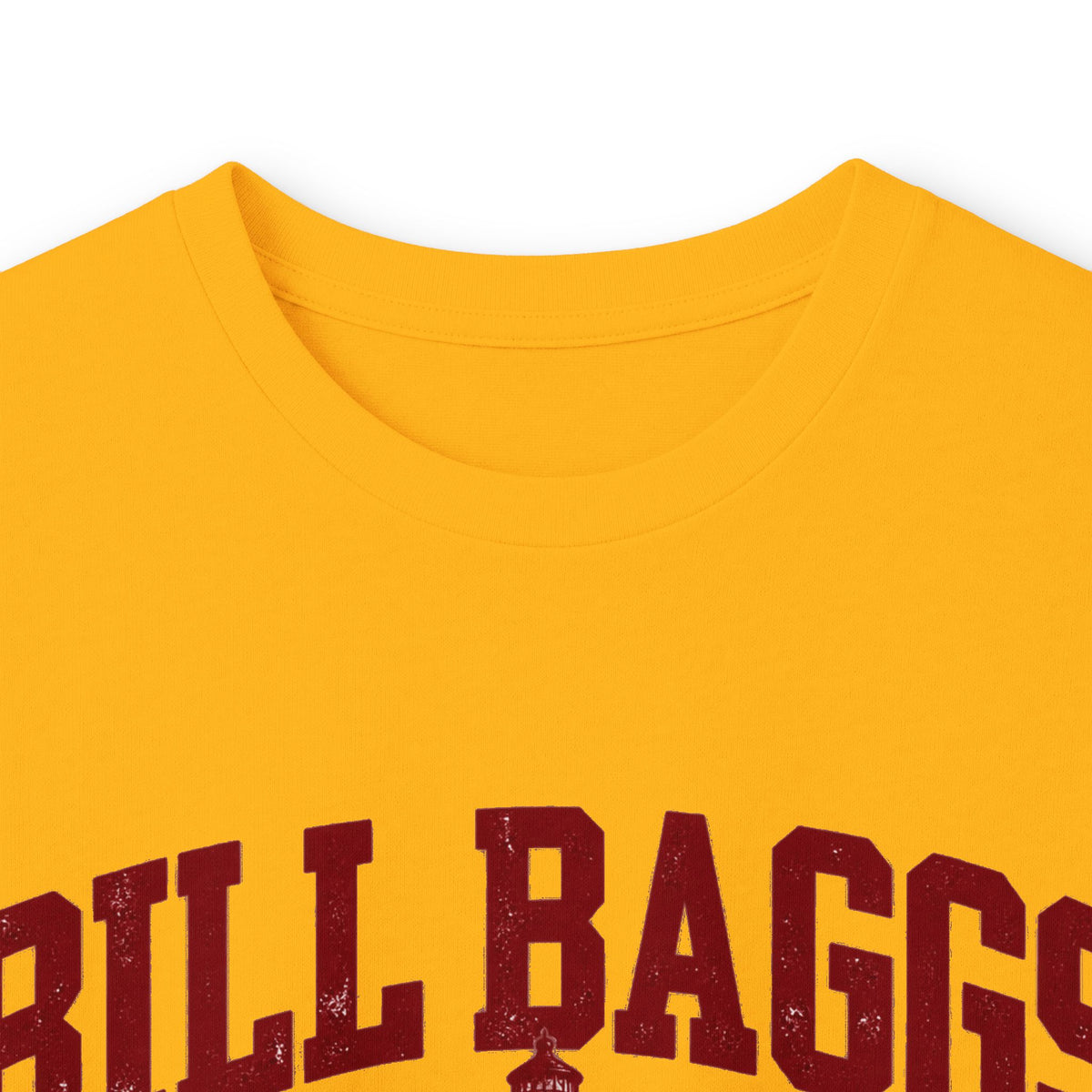Bill Bags Cape Florida State Park- Destination Logo