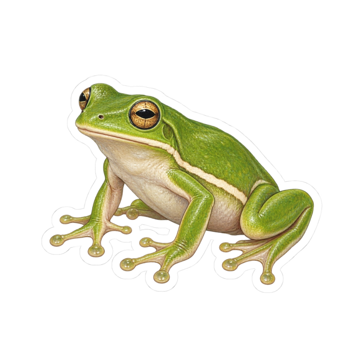 Green Tree Frog Kiss-Cut Sticker — Realistic Frog Vinyl Decal