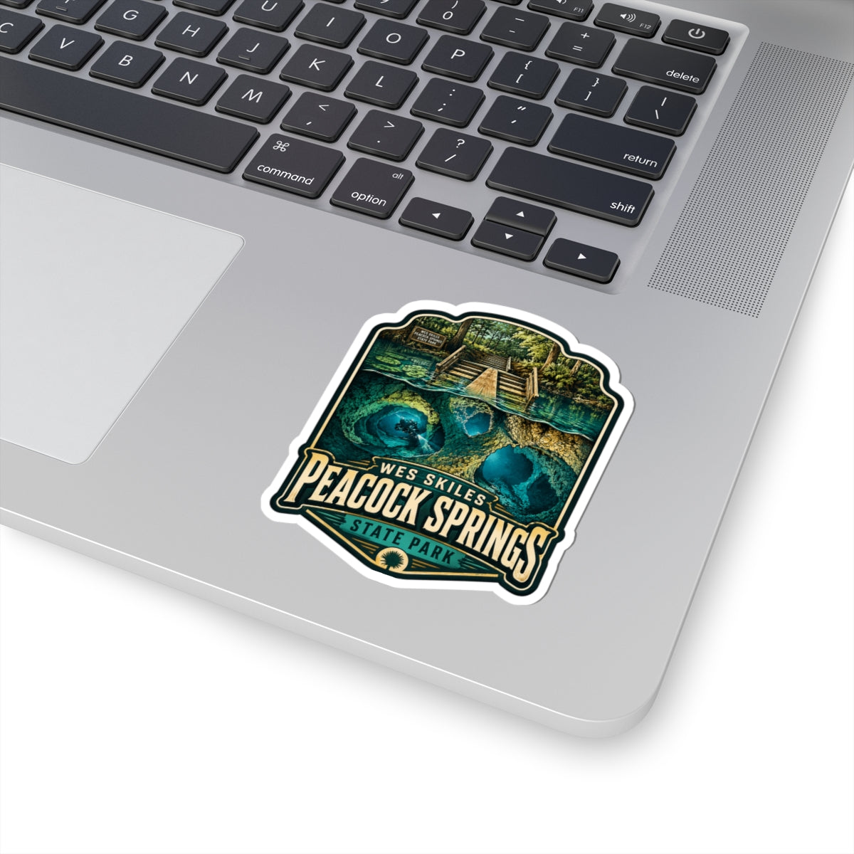 Peacock Springs State Park Sticker — Vintage Blue Spring Nature Decal