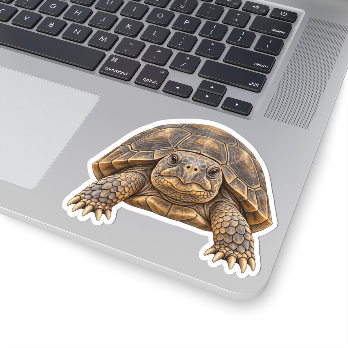 GopherTortoise Kiss-Cut Sticker — Realistic Decal