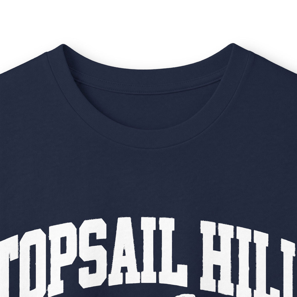 Topsail Hill Preserve State Park Vintage Logo- Long Sleeve Tee
