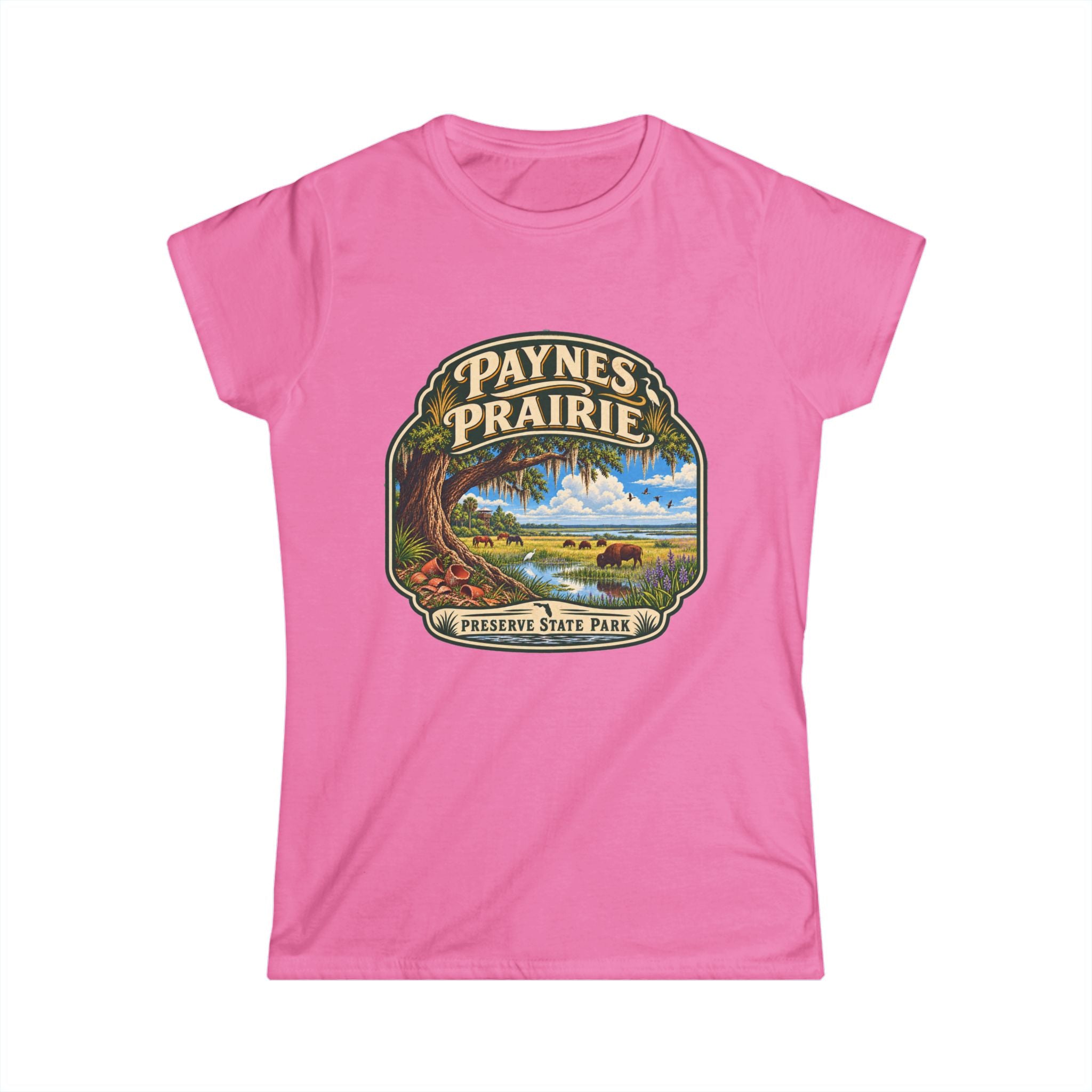 Paynes Prairie- Vintage Tee