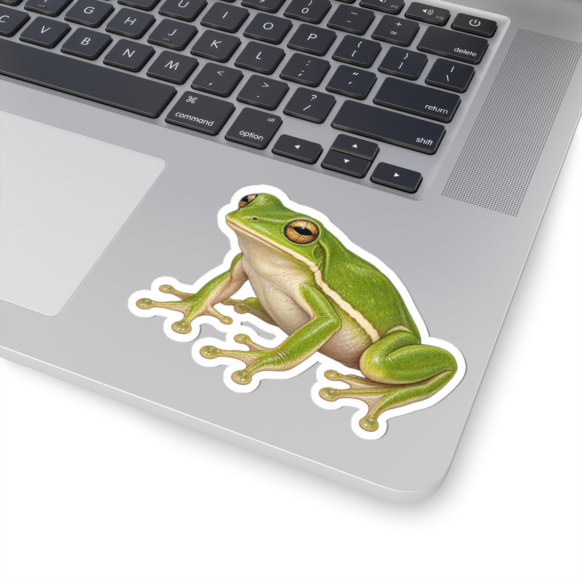 Green Tree Frog Kiss-Cut Sticker — Realistic Frog Vinyl Decal