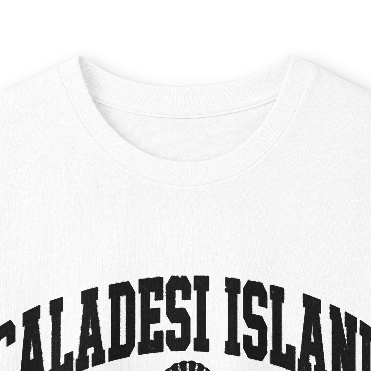 Caladesi Island State Park Vintage Logo- Long Sleeve Tee