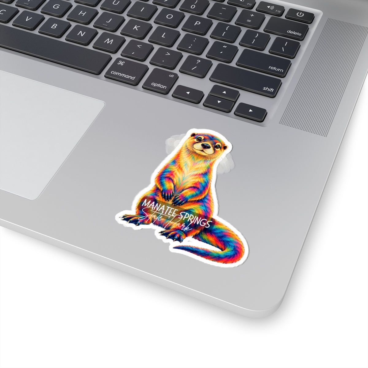 Colorful River Otter Kiss-Cut Sticker — 'Manatee Springs State Park' Vinyl Decal