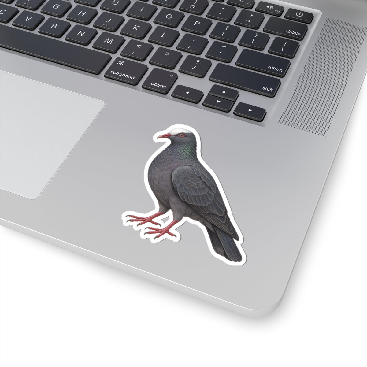 White Crowned Pigeon Kiss-Cut Sticker — Realistic Decal