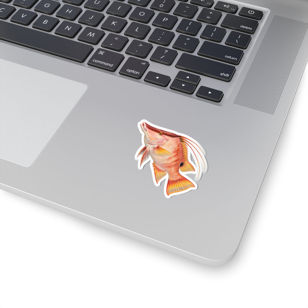 Red Hog Fish Sticker — Tropical Reef Decal