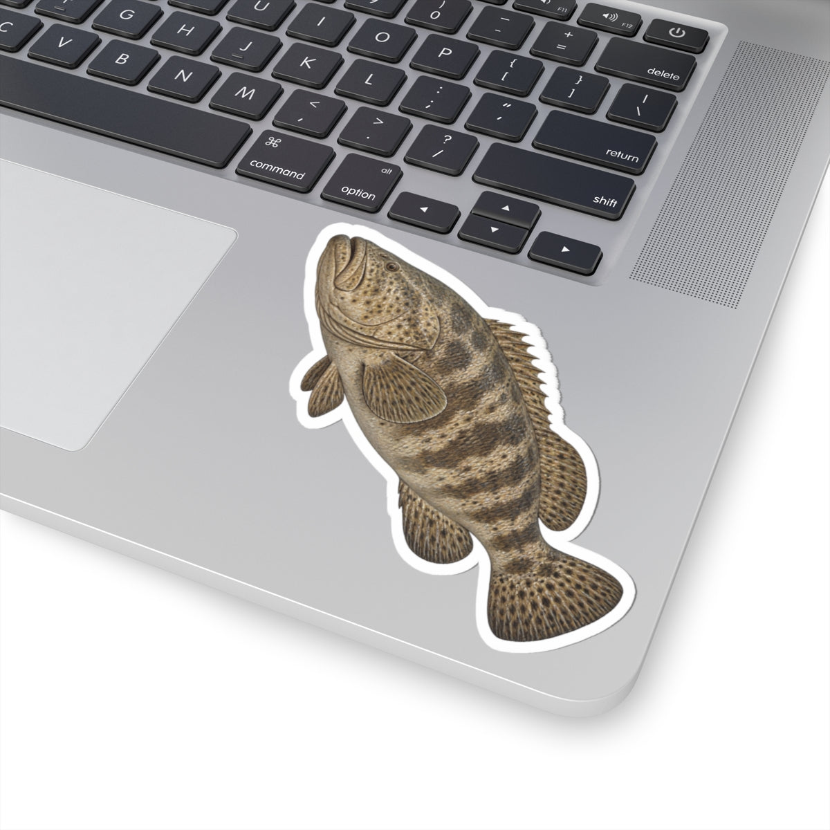 Goliath Grouper Kiss-Cut Sticker — Realistic Decal