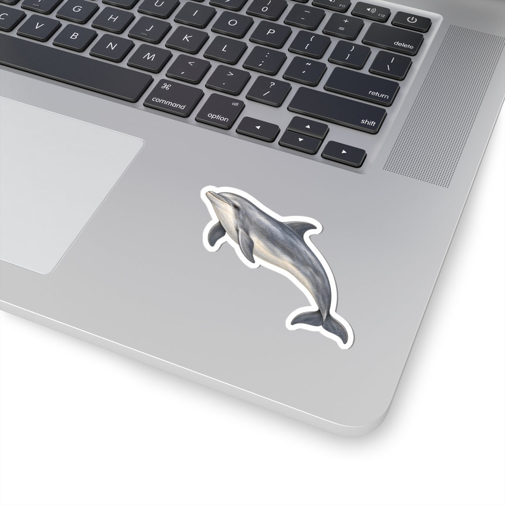 Dolphin Kiss-Cut Sticker — Realistic Decal