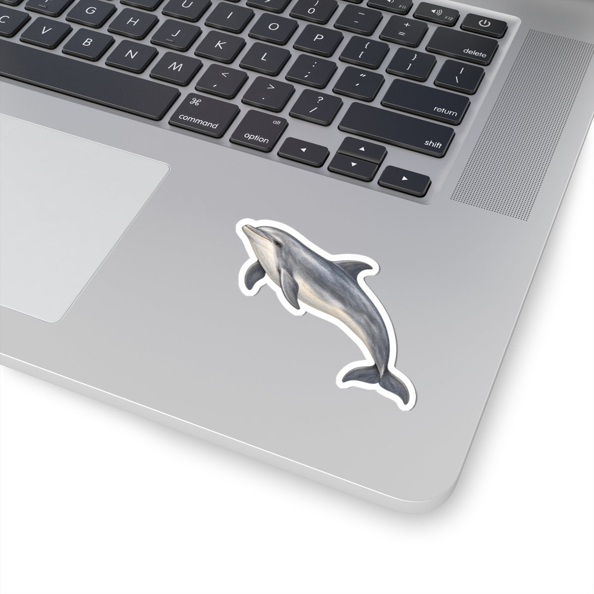 Dolphin Kiss-Cut Sticker — Realistic Decal