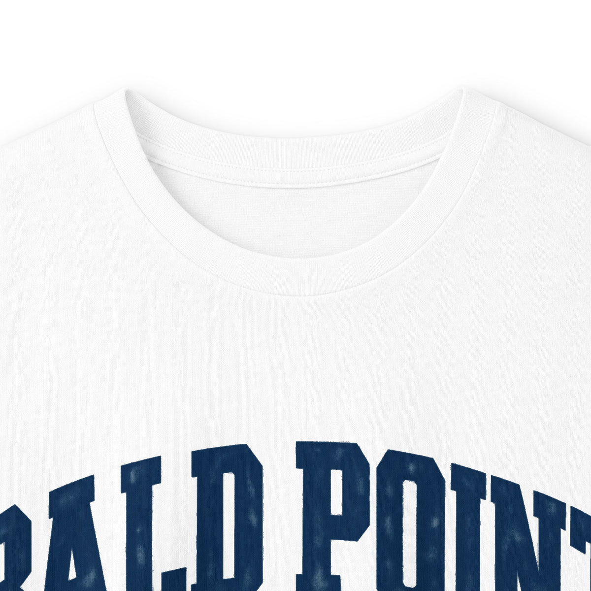 Bald Point State Park -Destination Logo