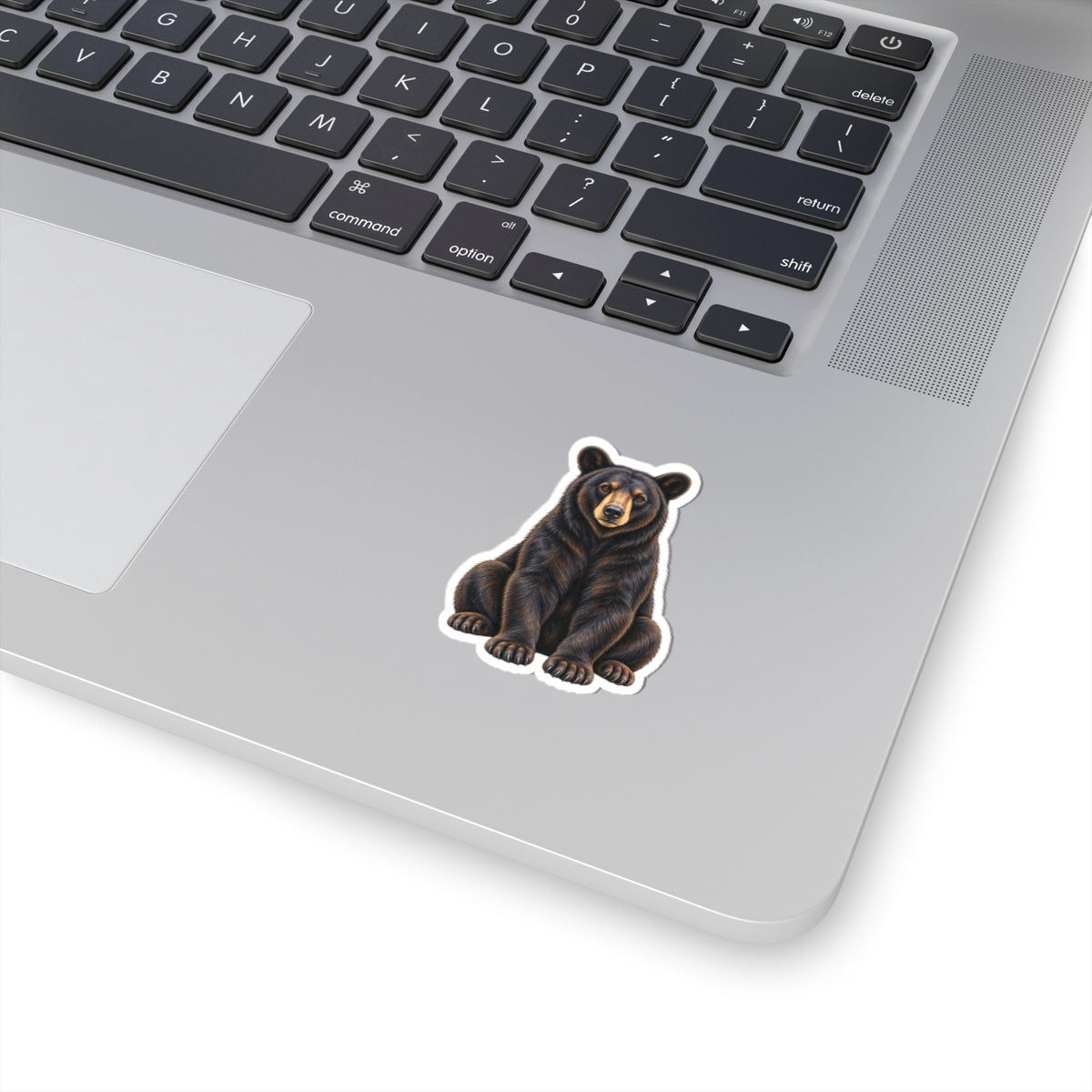 Florida Black Bear Kiss-Cut Sticker — Realistic Sitting Bear Decal for Laptop, Water Bottle & Gear