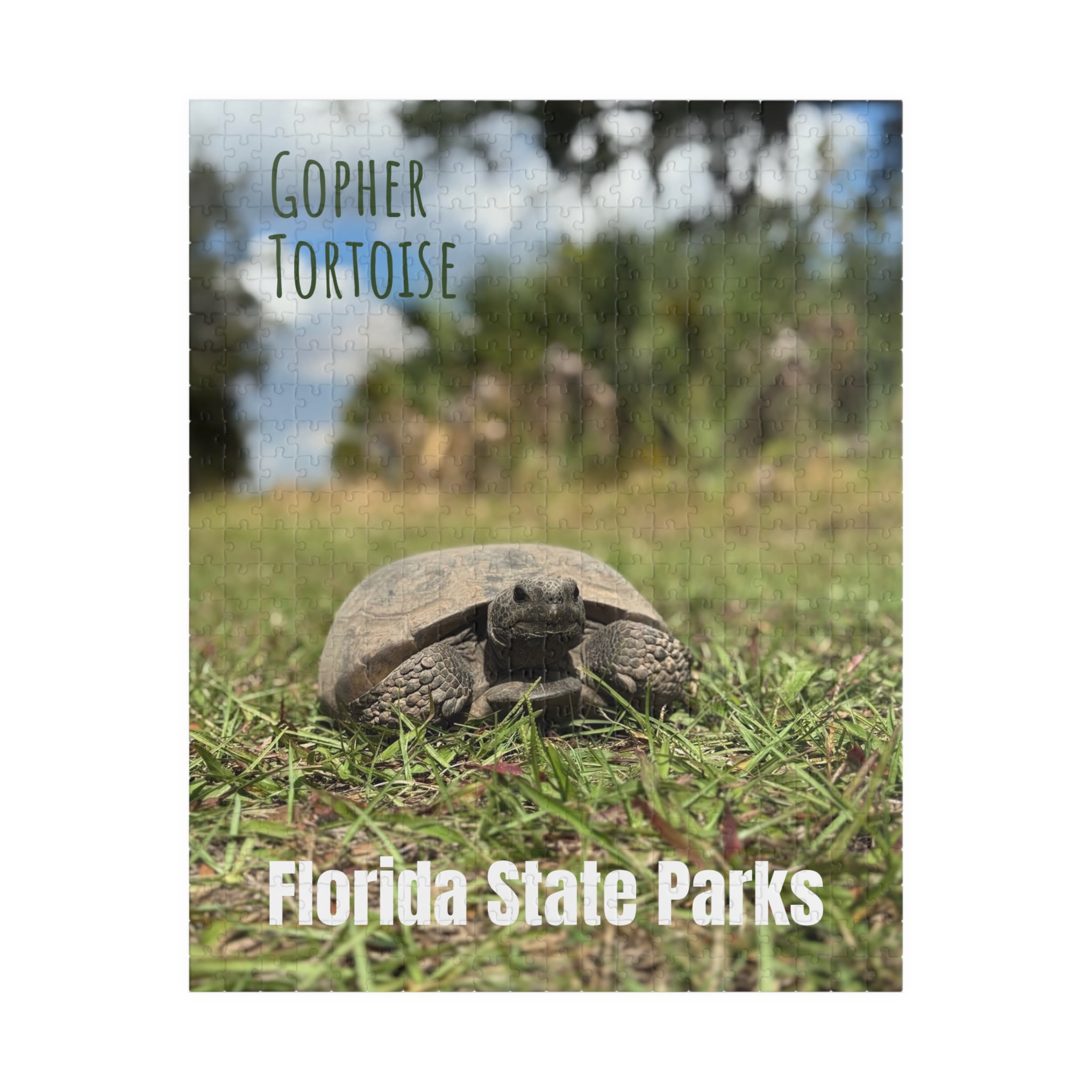 Gopher Tortoise Puzzle - Customizable 520/1014-Pieces