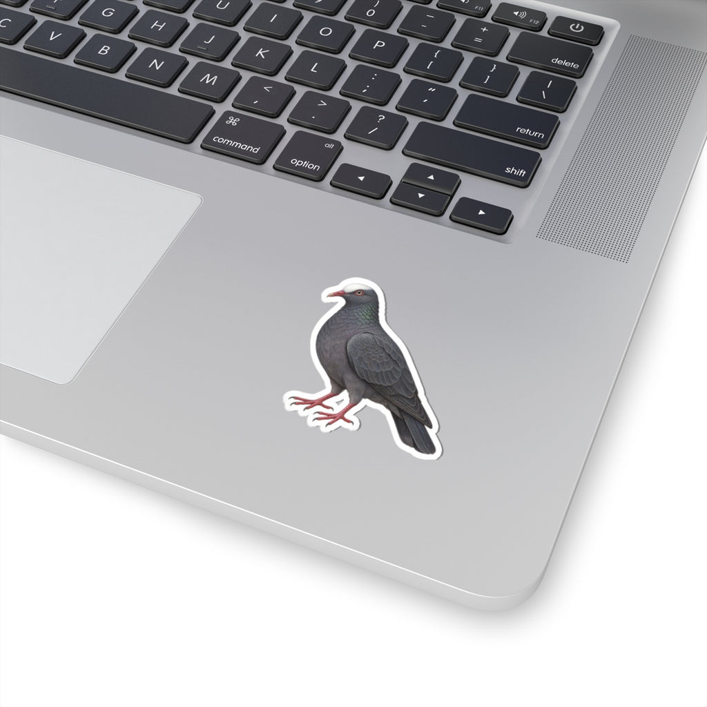White Crowned Pigeon Kiss-Cut Sticker — Realistic Decal