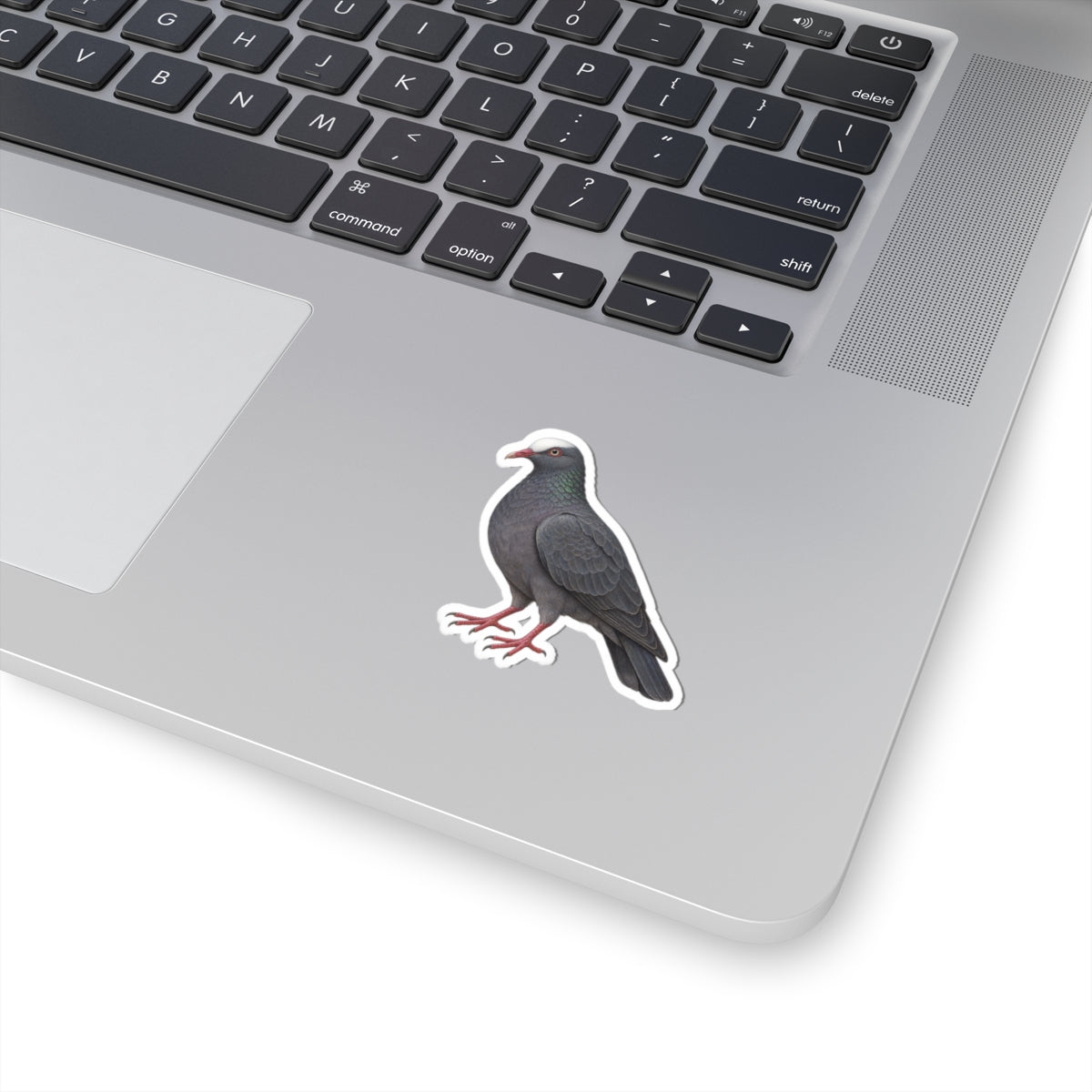 White Crowned Pigeon Kiss-Cut Sticker — Realistic Decal