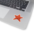 Red Cushion Starfish Kiss-Cut Sticker — Realistic Decal