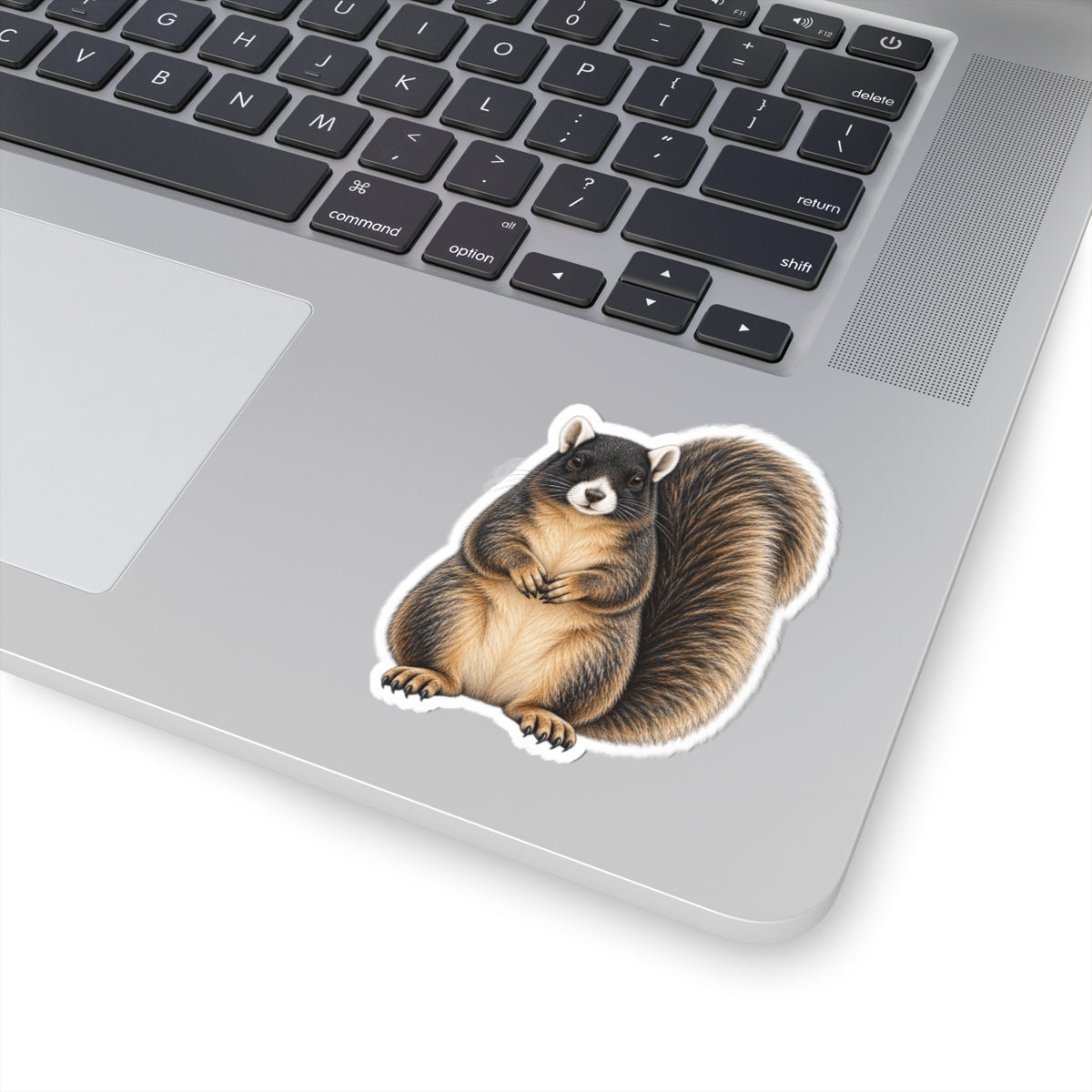 Sitting Sherman Fox Squirrel Sticker — Realistic Decal