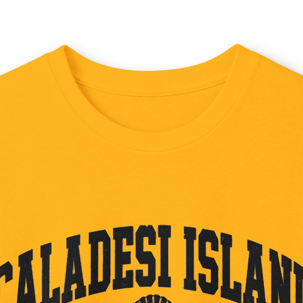 Caladesi Island State Park Vintage Logo- Long Sleeve Tee