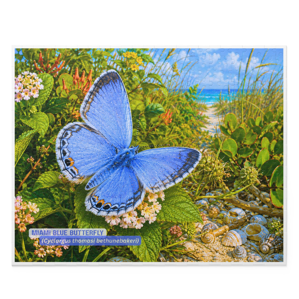 Miami Blue Butterfly Puzzle – Scenic Nature Jigsaw (120/252/500 pcs)