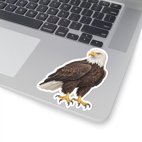 Bald Eagle Kiss-Cut Sticker — Realistic Decal