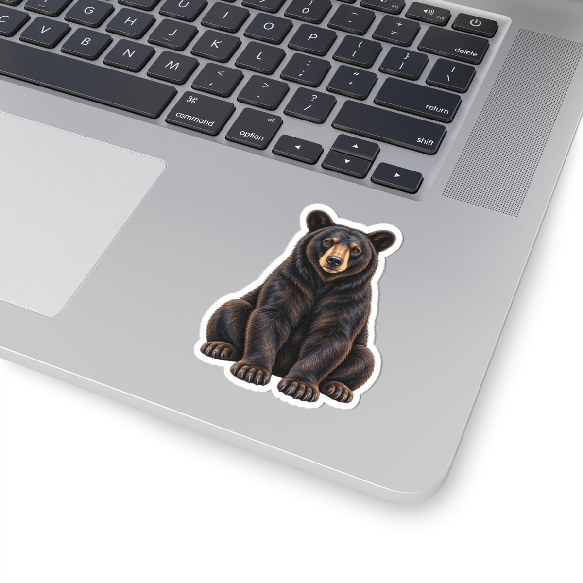 Florida Black Bear Kiss-Cut Sticker — Realistic Sitting Bear Decal for Laptop, Water Bottle & Gear