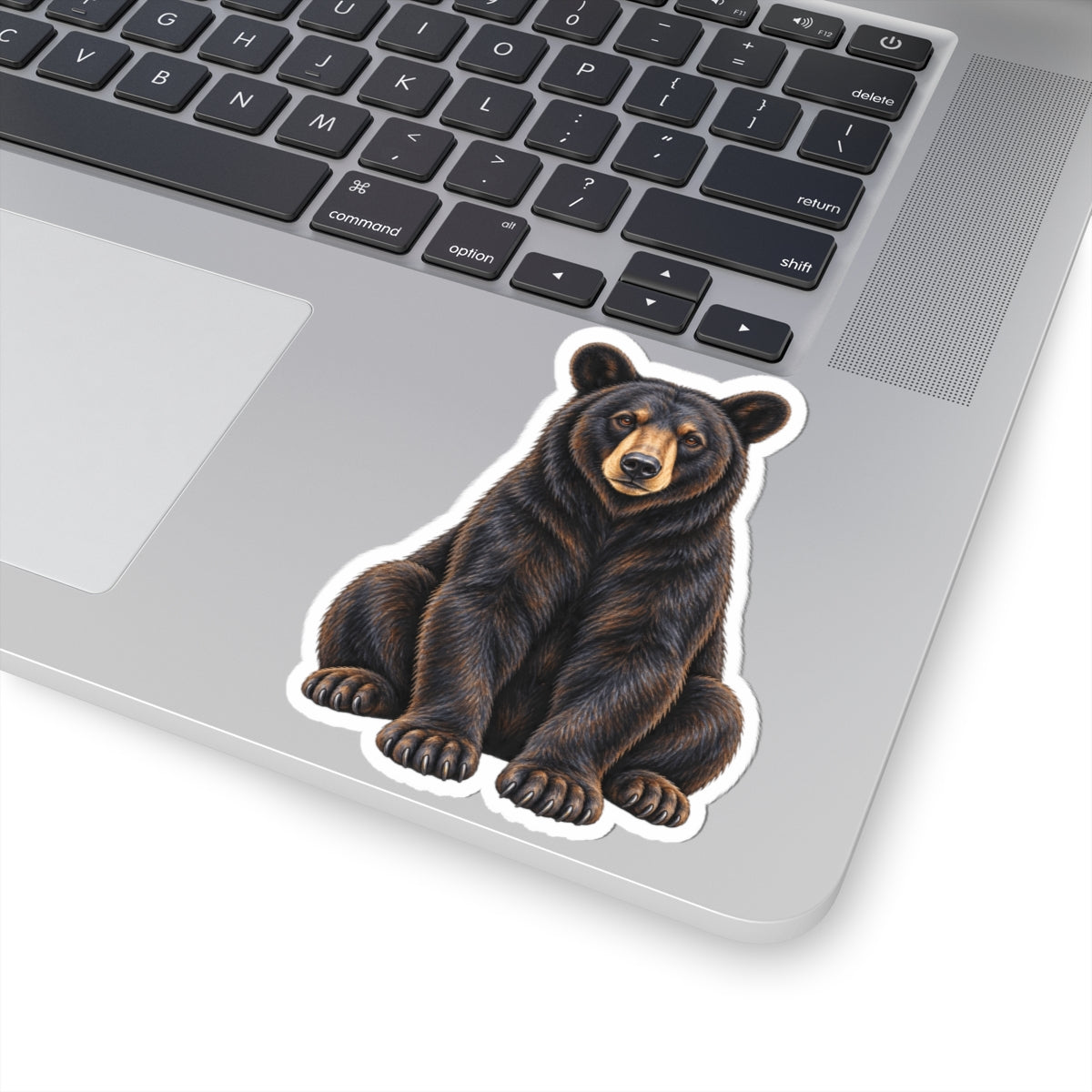 Florida Black Bear Kiss-Cut Sticker — Realistic Sitting Bear Decal for Laptop, Water Bottle & Gear